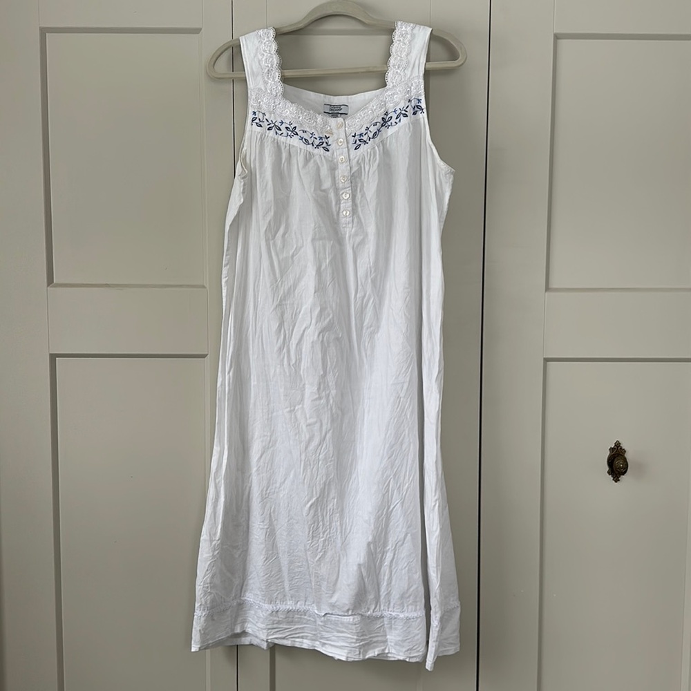 White and Blue Nightgown